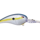  Nasty Shad