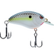  Nasty Shad