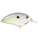  Nasty Shad