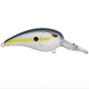  Nasty Shad