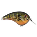  Natural Bream