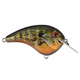  Natural Bream