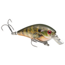  Natural Bream