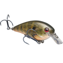  Natural Bream