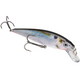  Natural Shad