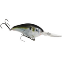  Natural Shad
