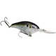  Natural Shad