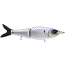  OG Gizzard Shad