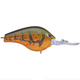  Olive Craw