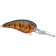  Olive Craw