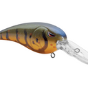  Olive Craw
