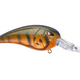  Olive Craw