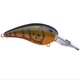  Olive Craw