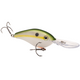  Olive Shad