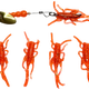  Orange