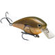  Orange Bream