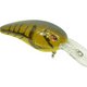  Ozark Craw