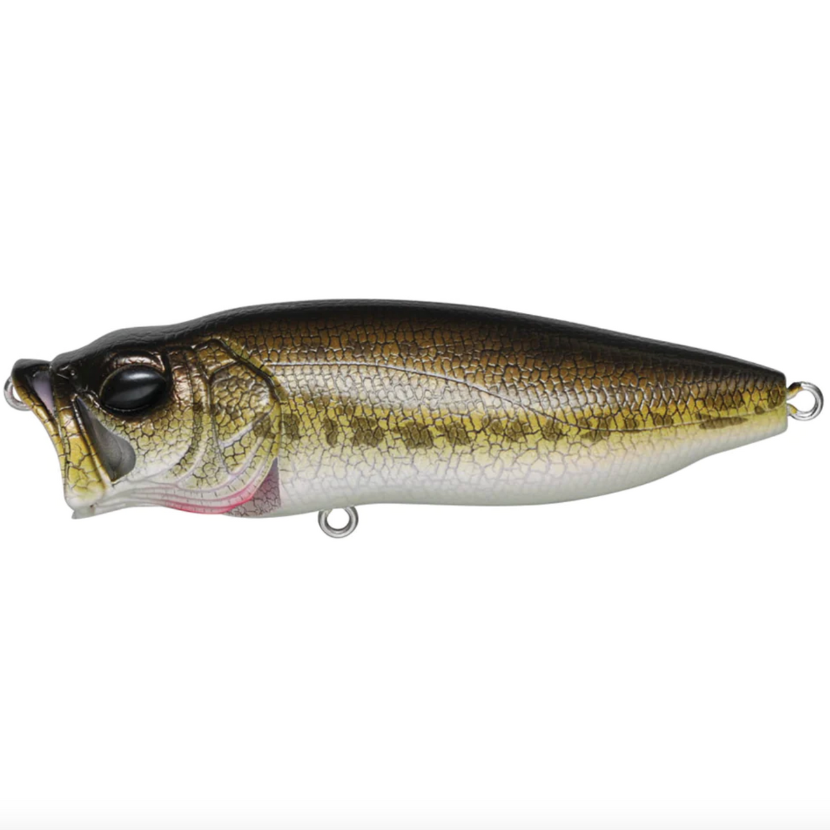 A Megabass Popmax topwater fishing lure with a silver and white color scheme, featuring detailed gill-system and realistic eyes.
