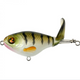  Perch