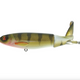  Perch
