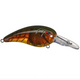  Phantom Brown