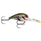  Phantom Green Crayfish