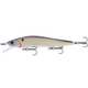  Profit Shad