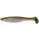  Rainbow Trout