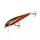  Rainbow Trout