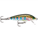  Rainbow Trout