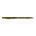  Rainbow Trout