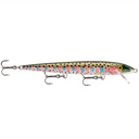  Rainbow Trout
