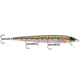  Rainbow Trout