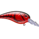  Red Bug