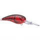  Red Bug