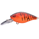  Red Craw