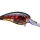  Red Craw