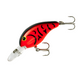  Red Crawfish