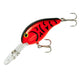  Red Crawfish