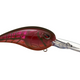  Red River Craw