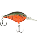  Red Swamp Craw