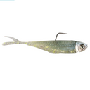 Sexy Shad