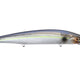 SG Threadfin Shad