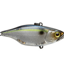  SG Threadfin Shad