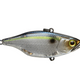  SG Threadfin Shad