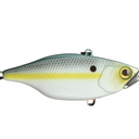  SS Shad