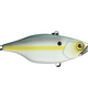  SS Shad