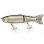 Savage Scandal 8" Rainbow Trout