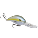  Sexy Blue Back Herring