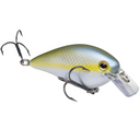  Sexy Blue Back Herring
